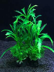 1个塑料水族箱装饰人造水生植物 - C - 查看 2