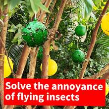 6 Packaging/ Summer Insect Ball| Premium Plastic Fly Trap (Non-Electric/ Long-Lasting) Hanging Type, Suitable For Fruit Flies, Wasps, Mosquitoes, Suitable For Homes, Gardens, Orchards, Farms, Parks, Summer Vegetable Fields, Indoor And Outdoor Use - 6 片裝超值裝黏蟲板 - 查看 4