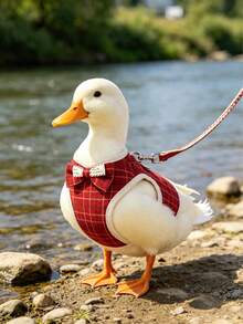 1 pieza Ropa ajustable para patitos con correa, accesorio esencial para mascotas al aire libre para patitos machos y hembras, cuerda decorativa linda - Una pieza - Ver 5