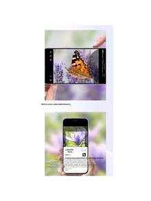 Ponsel Pintar Honor X70i 5G, Layar OLED 2412*1080, Sangat Tipis, Perlindungan Mata, Tahan Guncangan, Ponsel untuk Lansia - Beraneka warna - View 4