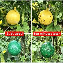 6 Packaging/ Summer Insect Ball| Premium Plastic Fly Trap (Non-Electric/ Long-Lasting) Hanging Type, Suitable For Fruit Flies, Wasps, Mosquitoes, Suitable For Homes, Gardens, Orchards, Farms, Parks, Summer Vegetable Fields, Indoor And Outdoor Use - 6 片裝超值裝黏蟲板 - 查看 5