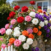 374 Semillas de Flores de Alta Calidad - Raras y Coloridas, Fáciles de Cultivar, Sin OMG, Alta Tasa de Germinación, Adecuadas para Jardines Interiores y Exteriores - 374 - Ver 5