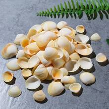 200g Light Yellow Small Shells | Egg Shells - Suitable For Handmade Materials, Fish Tank Aquarium Landscaping Decoration, DIY Shell Wind Chime Shell Christmas Tree Decoration, Ocean Style Home Decoration - A - View 11