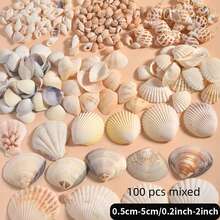 100個/200個，淺色貝殼與海螺混裝 [將額外增加數量以補償可能的運輸損壞，請諒解]，水族箱與魚缸裝飾，DIY珠寶製作，魚缸裝飾，浴室裝飾，派對蠟燭，婚禮裝飾，手工藝項目，DIY風鈴項鍊手鍊耳環製作，海洋海灘風格，牆面裝飾 - 套裝 - 查看 8