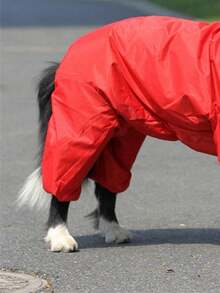 1 件红色大型犬雨衣 - 紅色 - 查看 9