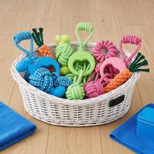 6件組寵物狗咬咬玩具，狗狗互動遊戲玩具。帶刺繩結設計。 - 耐用且耐咬的互動繩索玩具。適合小型和中型犬。強化縫線與長效材質設計。必備寵物配件。狗牽繩玩具。防咬設計。 - 彩色 - 查看 7