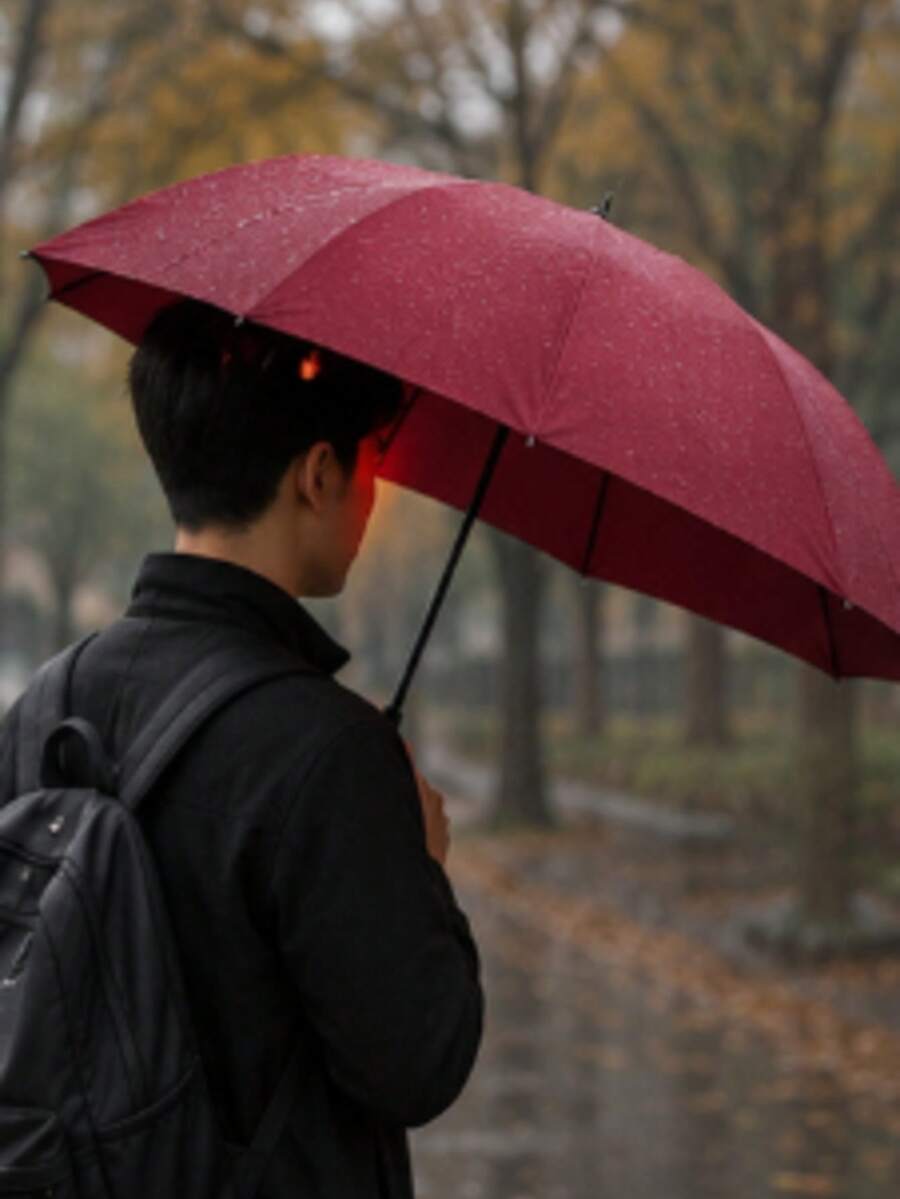 Umbrellas - Red Violet - View 1