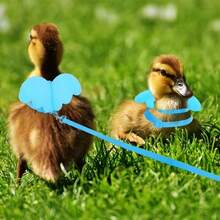 1 Set Angel Wings Harness & Leash, Chicken/Duck/Goose Chest Strap Leash For Going Out - Multicolor - View 1