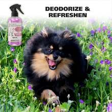 USA Cornflower Scented Pet Deodorant Spray For All Dogs &Amp; Cats U2013 Clean Fresh Smell Refreshes &Amp; Deodorizes U2013 8 Oz - Model 820009A - White - View 2