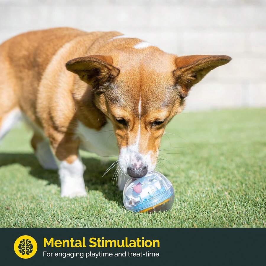 Adjustable Opening Pet Treat Dispensing Ball Toy, Transparent Rolling Leakage Control Food Ball For Dog Cat Slow Feeding Mental Stimulation - 黃色 - 查看 1