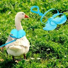 1 Set Angel Wings Harness & Leash, Chicken/Duck/Goose Chest Strap Leash For Going Out - Multicolor - View 3