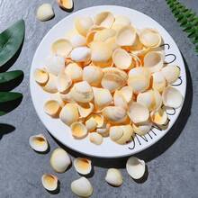 200g Light Yellow Small Shells | Egg Shells - Suitable For Handmade Materials, Fish Tank Aquarium Landscaping Decoration, DIY Shell Wind Chime Shell Christmas Tree Decoration, Ocean Style Home Decoration - A - View 6
