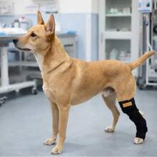 Dog Leg Fracture Fixation Brace, Leg Injury Protection Sleeve, Pet Front/Hind Leg Support Strap With Splint - Multicolor - View 9
