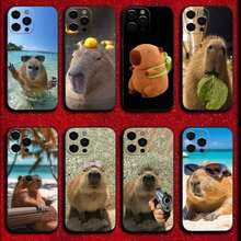 Cute Capybara Phone Case Compatible With 16, 15, 14, 13, 12, 11, Pro, X, XS, Max, XR, Plus, Mini Soft Black Cover, Compatible With 17 Pro Max Case, 17 Pro Case, 17 Case, 16 Pro Max Case - Z4 - 查看 2