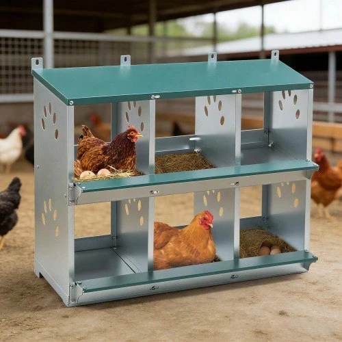 6-Compartment Chicken Nesting Box With 86° Egg Rolling Design – Individual Nests With Sloping Bottoms Allow For Easy Collection And Protect Against Breakage. - View 1