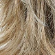 Blonde Highlight