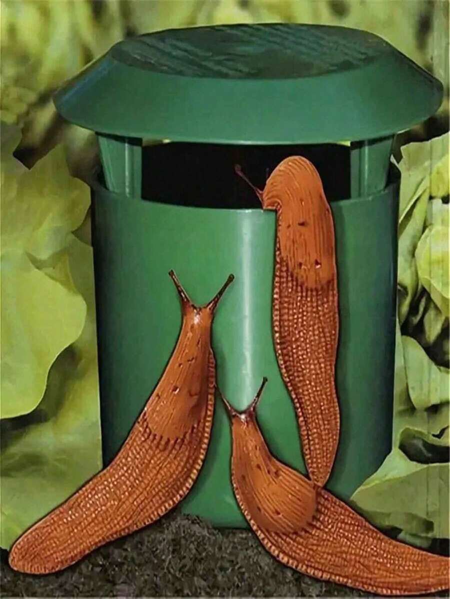 5 piezas Trampas duraderas para caracoles y babosas - Jaulas de plástico para verduras y flores, control de plagas, tamaño 10x11cm, sin necesidad de energía o batería, capturador de caracoles de jardín, trampa de caracoles de plástico, trampa de insectos tipo jaula de caracoles, suministros de jardín tipo casa de caracoles, capturador de caracoles, decoración del hogar, decoración del jardín, herramientas de jardinería, herramientas de protección de jardinería, regalo para ella, regalo para él, regalo del Día de la Madre, regalo del Día del Padre, regalo para los abuelos
