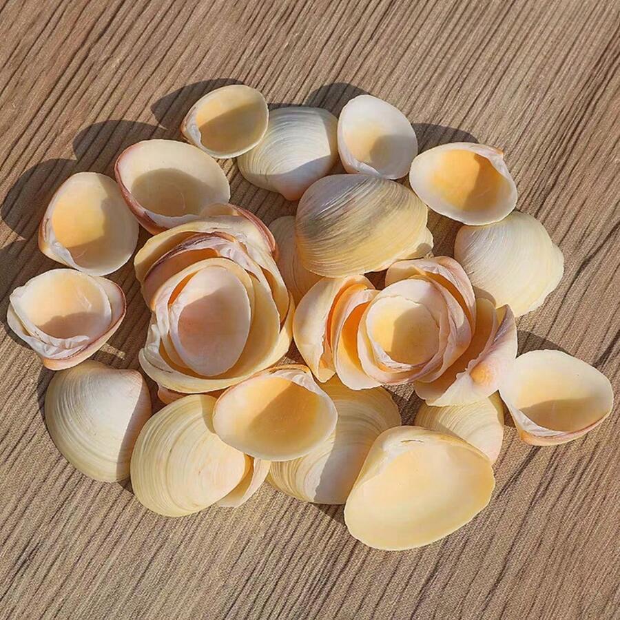 200g Light Yellow Small Shells | Egg Shells - Suitable For Handmade Materials, Fish Tank Aquarium Landscaping Decoration, DIY Shell Wind Chime Shell Christmas Tree Decoration, Ocean Style Home Decoration - A - View 1