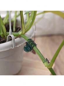 10/20/50/100个装塑料植物支撑夹，兰花茎夹，藤蔓支撑夹，蔬菜花卉捆绑固定园艺工具 - 多色 - 查看 3