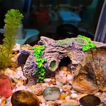 2pcs Resin Hollow Tree Trunk Aquarium Decor Reptile Hide Cave Natural Bark Driftwood Ornament For Fish Tank Landscaping Shrimp Tank Aquarium Decoration Accessories - A - View 6