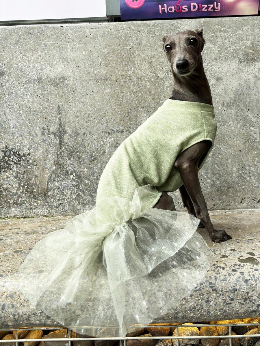 Váy lưới tulle xanh Whippet phong cách Ý, quần áo thú cưng thoáng khí chống tia UV cho mùa hè - màu xanh lá - Xem 1