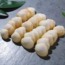 200g Light Yellow Small Shells | Egg Shells - Suitable For Handmade Materials, Fish Tank Aquarium Landscaping Decoration, DIY Shell Wind Chime Shell Christmas Tree Decoration, Ocean Style Home Decoration - A - View 8