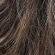 Brown Highlight