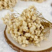 100 mini mazzetti di fiori eternity, disponibili in vari colori, adatti per corone di fiori da sposa e accessori per capelli, composizioni in vaso, decorazioni per la casa, l'ufficio e i caffè, decorazioni festive, decorazioni per biglietti, decorazioni per torte e altre decorazioni fai da te. - 100 pezzi - Visualizzare 9