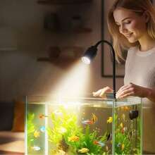 1个水族箱LED射灯，迷你景观灯，USB供电，高亮度桌面鱼缸灯，植物生长辅助灯，夹式灯，可调节照明角度（15°/30°/45°），铝合金灯头，360°灵活旋转灯管，三色调光。适用于家庭水族箱植物景观色彩增强、爬行动物照明、客厅装饰、节日和礼品。 - 黑色 - 查看 3