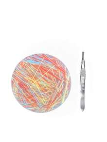 Round Peeling String Toy With Tweezers, Stress Relief Toy For Teens, Silicone Toy, Decompression Game, Gift For Friends And Classmates, Suitable For Holiday Gifts And Party Favors - Multicolor - View 13