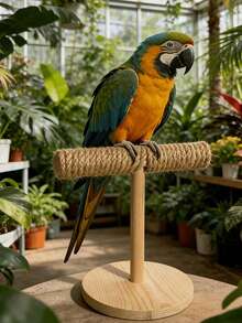 Solid Wood Rope Desktop Bird Stand, Suitable For Parrots, Ring-Necked Parrots And Other Small Birds, Can Be Used For Gripping, Claw Grinding, Perching And Training, Portable Pet Bird Supplies - One Size Fits All - View 5