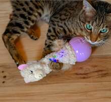 Catstages Electronic Dancing Llama Interactive Cat Toy, Wobbles And Plays Music, Battery Powered, Plush, White - 顏色A - 查看 5