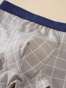 Young Boy 4pcs/Pack Plaid Print Boxer Briefs - Multicolor - View 6