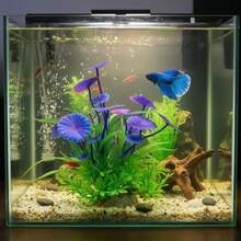 逼真水生植物，生動設計，紫色，適用於淡水和鹹水水族箱，增強水下景觀活力和含氧量，適合魚類，低維護，可用於水下和水上 - 歡樂水族 - 查看 3