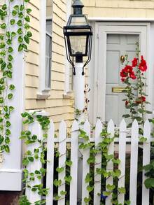 12/24/36pcs Artificial Ivy Vines, Faux Leaf Garland, Home Decor, Wedding Decor, Wall Decor, Living Room Decor, Kitchen Decor, Bedroom Decor, Outdoor Decor, Living Room Artificial Plant Decor - Green - View 5