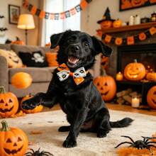 10 pièces Collier de chien à nœud papillon pour Halloween en couleurs aléatoires. 10 pièces d'accessoires de collier de chien avec nœud papillon à attacher au collier pour les chiens pendant Halloween - Multicolore - Voir 5