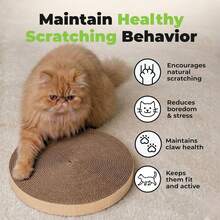 Catify Cat Scratcher, Fun Interactive Scratchers, Posts, Poles, Claw , Furniture Saver Indoor Play Support Natural Cat Behav - 尺寸如圖所示 - 查看 6