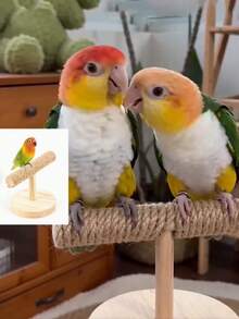 Solid Wood Rope Desktop Bird Stand, Suitable For Parrots, Ring-Necked Parrots And Other Small Birds, Can Be Used For Gripping, Claw Grinding, Perching And Training, Portable Pet Bird Supplies - One Size Fits All - View 6
