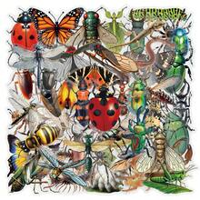 64 piezas de pegatinas de insectos, pegatinas de material transparente PET con diseños de dibujos animados lindos para propósitos de bricolaje como patinetas, botellas de agua, portátiles y teléfonos móviles, útiles escolares, vuelta al cole - Marrón Mocha - Ver 1