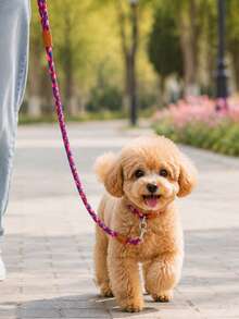 Trela de animal de estimação macia, confortável e durável em nylon trançado, estilo moda em 3 cores rosa, azul e vermelho, adequada para Bichon, Teddy e outros cães pequenos, adequada para passear com cães e gatos (não adequada para cães de tamanho médio e grande) - Multicolorido - Ver 3