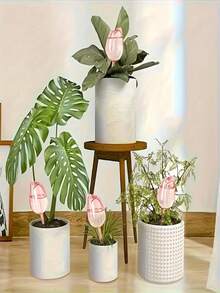 6 piezas Sistema de riego automático, adecuado para plantas en maceta, plantas de interior, regadera de plástico con forma de tulipán, riego por goteo de auto-riego para plantas de interior, herramientas de jardinería - Multicolor - Ver 4