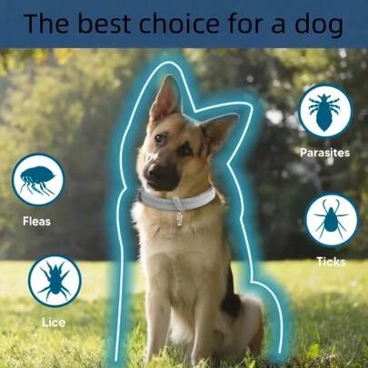 Adjustable Anti-Flea & Tick Collar For Pets (Cats & Dogs). Outdoor Insect Repellent Necklace, Suitable For Cats And Dogs To Prevent Insect Bites And Getting Lost In Summer.