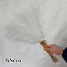 50/30/20/10/5/3/1 Cái Cỏ Pampas Nhân Tạo, Cắm Hoa Phong Cách Bohemian Bồng Bềnh & Vật Liệu Trang Trí Bình Hoa Đặt Sàn, Trang Trí Nhà Cho Phòng, Tiệc Cưới, V.V. - Nhiều màu - Xem 8