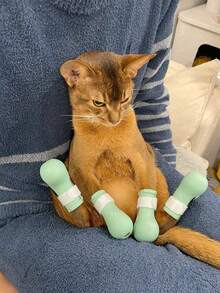Anti-Scratch And Bite Cat Paw Covers, Cat Paw Sleeves For Bathing, Anti-Scratch And Anti-Licking Pet Paw Covers, For Bathing And Nail Clipping, Can Be Used With Pet Cat Head Cover Space Helmet, Prevents Cat From Biting, Set Of 4 - View 2