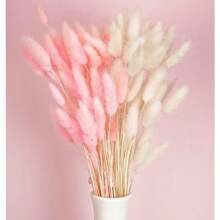 60/120/180/240 Pcs Artificial Rabbit Tail Grass, Artificial Rabbit Tail Grass Stems For Home Decor, Wedding Decor, Party Decor, DIY Crafts, Photography Props, Theme Decor - Light Pink and White Rabbit Tail Grass - View 2
