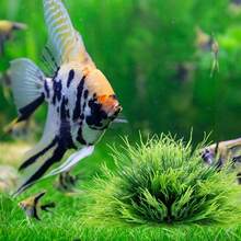 2pcs Artificial Aquarium Plants - Fresh Green Plastic Aquarium Decor, Assorted Sizes, PVC Material, Ideal For Aquatic Pet Lovers, Fish Tank Accessories - Happy Aquarium - View 6