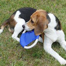 Colorful Rope Toy For Dogs, Made Of Natural Fibers, Suitable For Indoor/Outdoor Training And Play (Random Color) - Multicolor - View 11