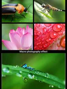 0.45x Wide Angle Lens And 12.5x Macro Lens, Clip-On Smartphone Camera Lens Kit, Compatible With IOS And Android Smartphones & Tablets, Creative Photography Accessory Suitable For Summer Travel - A - View 8