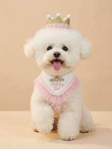 Pet Birthday Set, Dog Birthday Crown Hat & Birthday Girl Bandana, Pearl Ruffle Pet Bib, Princess Style Party Costume For Small Dogs Cats, Birthday Party Photo Props, Cute Cat Dog Birthday Accessory - Multicolor - View 7