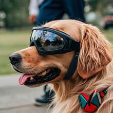 Adjustable Dog Goggles For Small, Medium & Large Breeds - Windproof & UV Protection Pet Sunglasses With Double Straps - Black - View 6